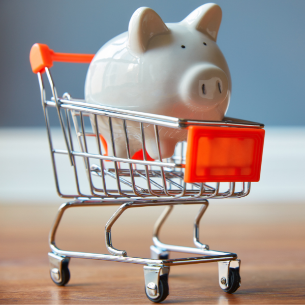An image of a poggy bank inside a shopping cart.